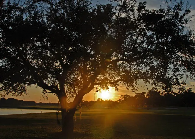 $2,600,000 | 703 Collins Meadow Drive, Georgetown, SC 29440