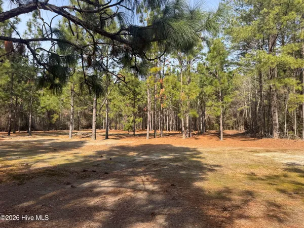 $200,000 | 154 Sunset Park Road, Bladenboro, NC 28320