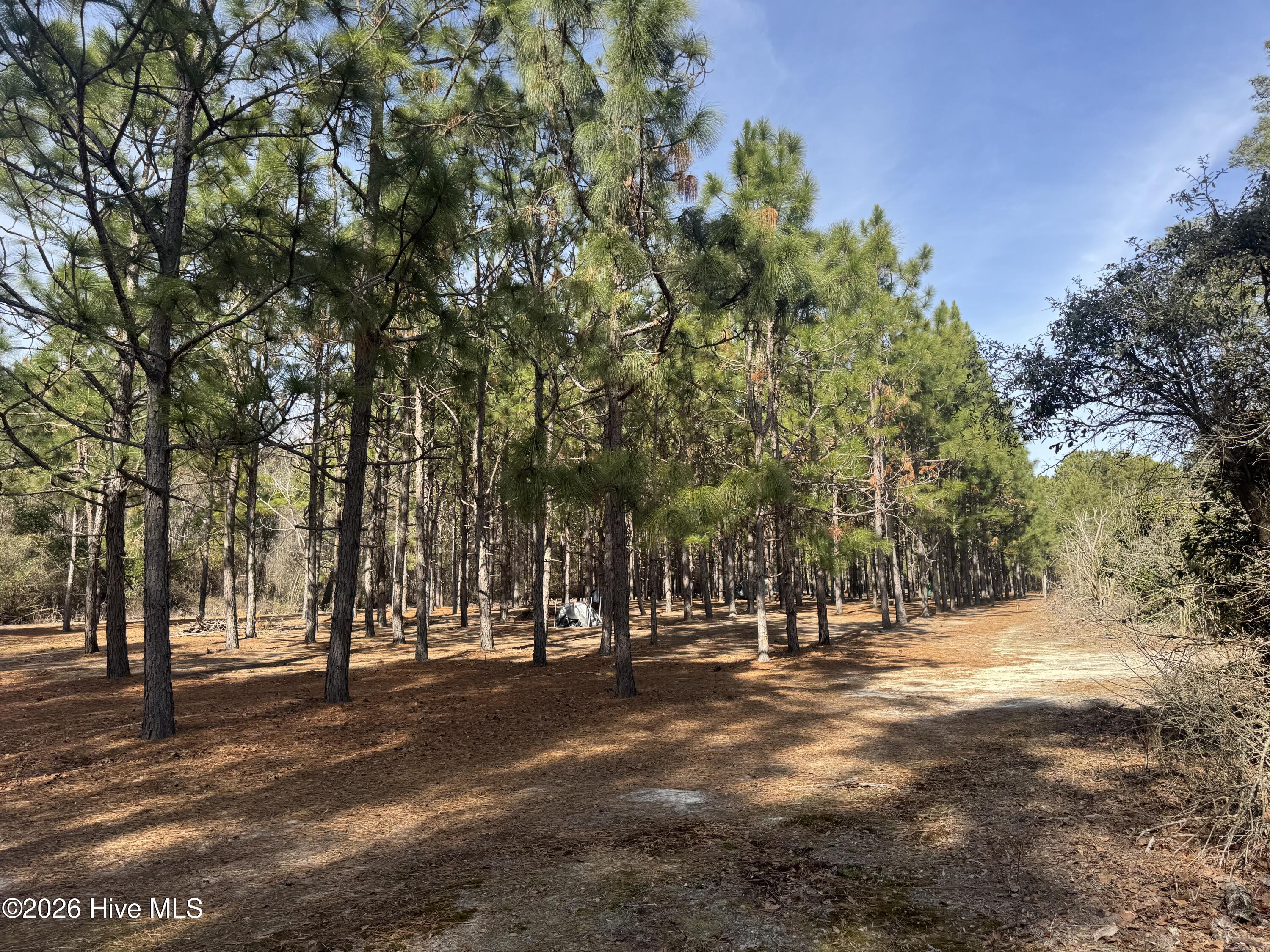 154 Sunset Park Road Bladenboro, NC 28320 - Photo 5 of 15 IMG_3315