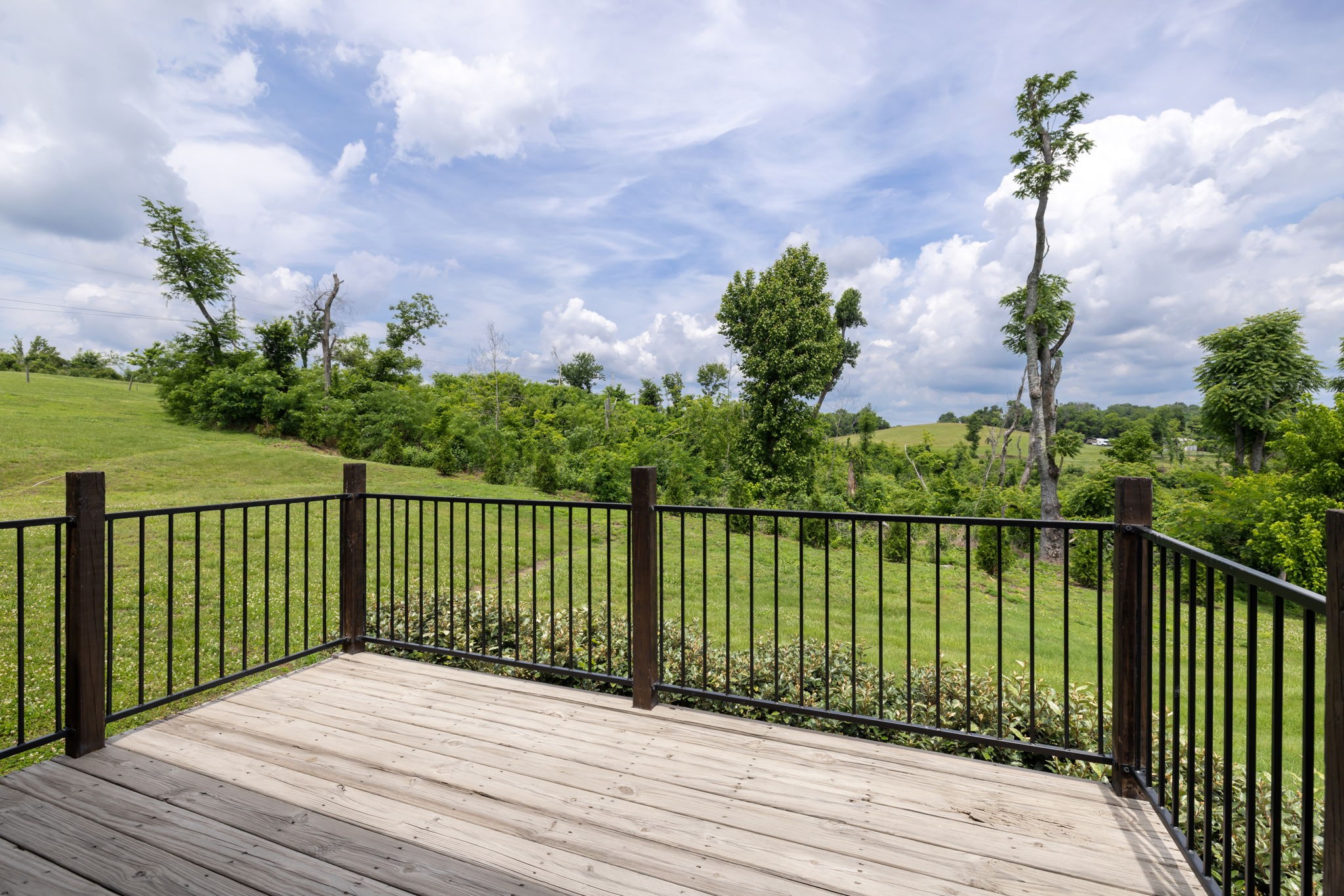 1782 Blackburn Lane Spring Hill, TN 37174 - Photo 51 of 100