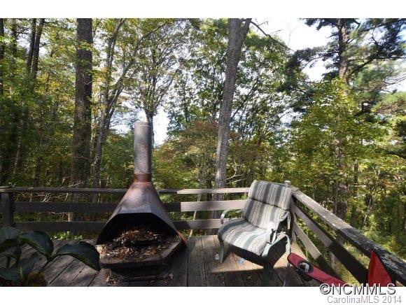 826 Town Mountain Road Asheville, NC 28804 - Photo 3 of 12