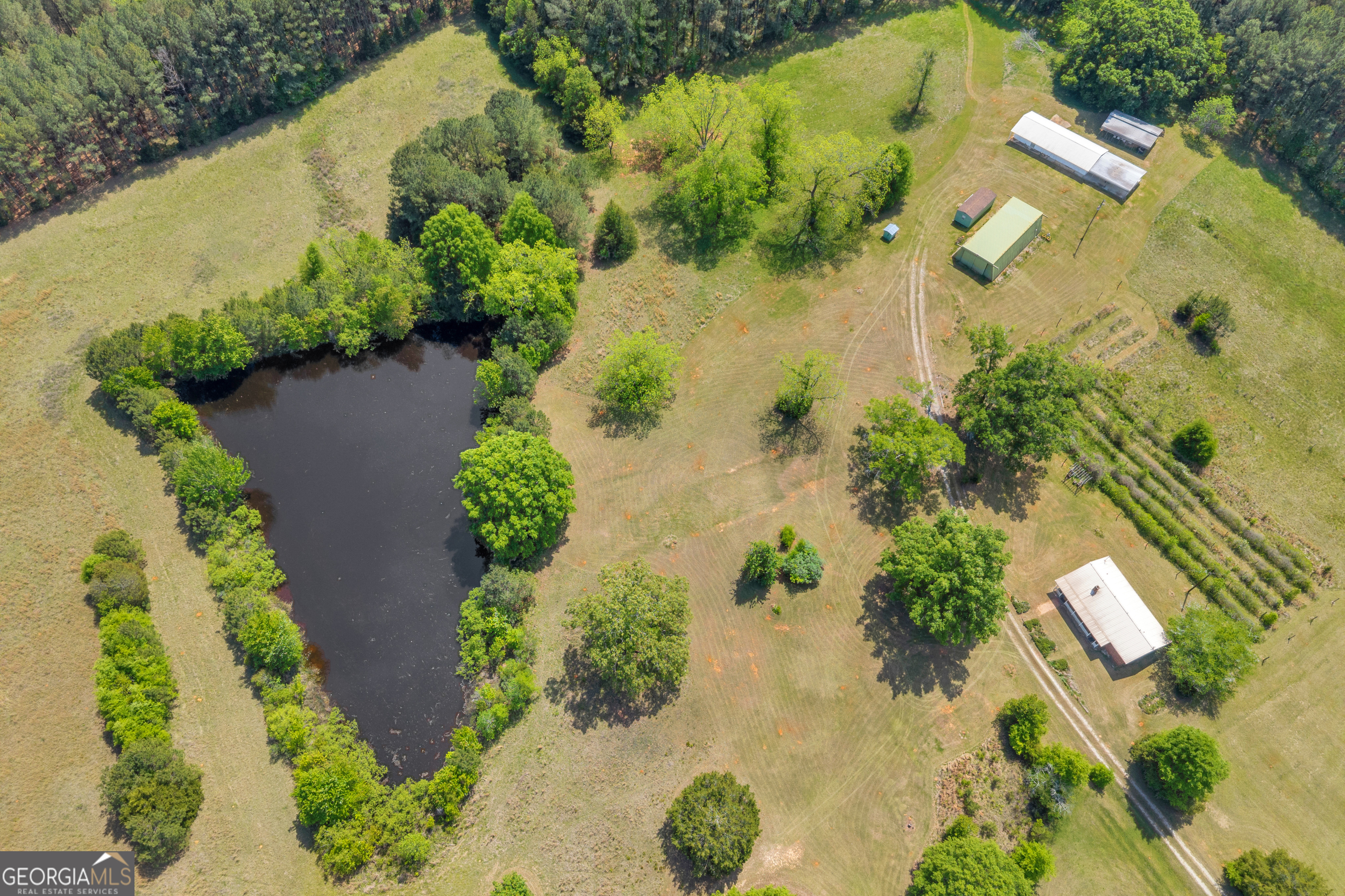 3248 Metasville Road Washington, GA 30673 - Photo 8 of 97