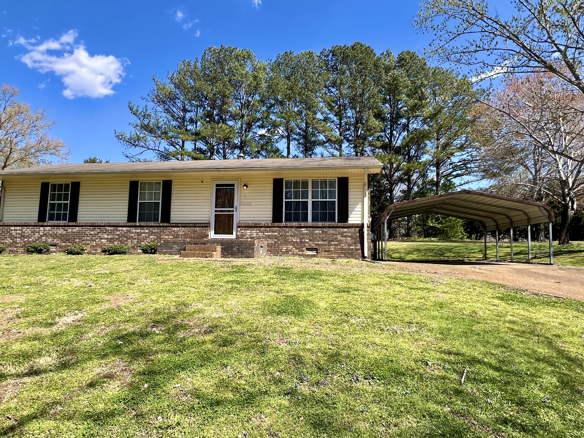 518 Littrell Road Loretto, TN 38469 - Photo 2 of 42