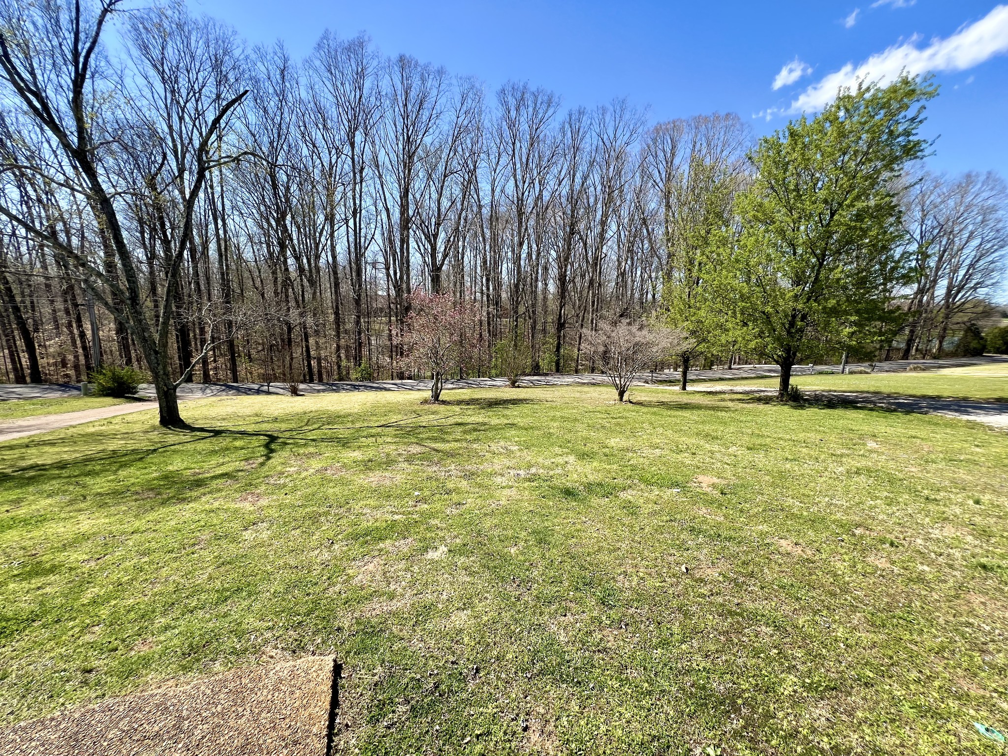 518 Littrell Road Loretto, TN 38469 - Photo 6 of 42
