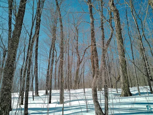 $125,000 | 33 Hillside Drive, Lutsen, MN 55612