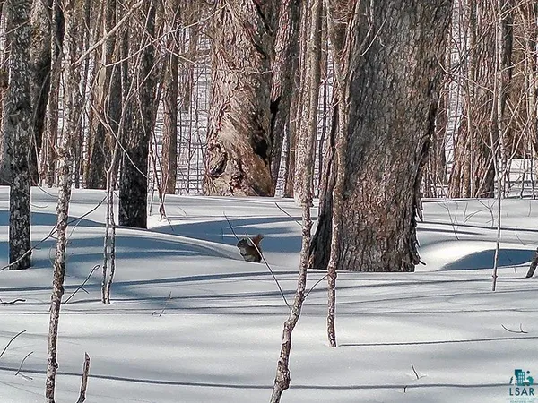 $125,000 | 33 Hillside Drive, Lutsen, MN 55612