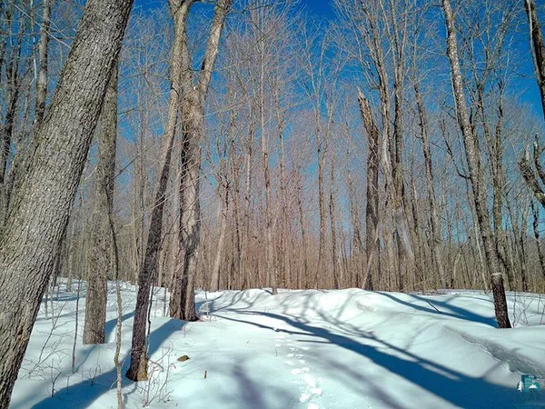 $125,000 | 33 Hillside Drive, Lutsen, MN 55612