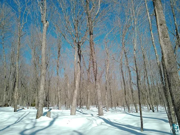 $125,000 | 33 Hillside Drive, Lutsen, MN 55612