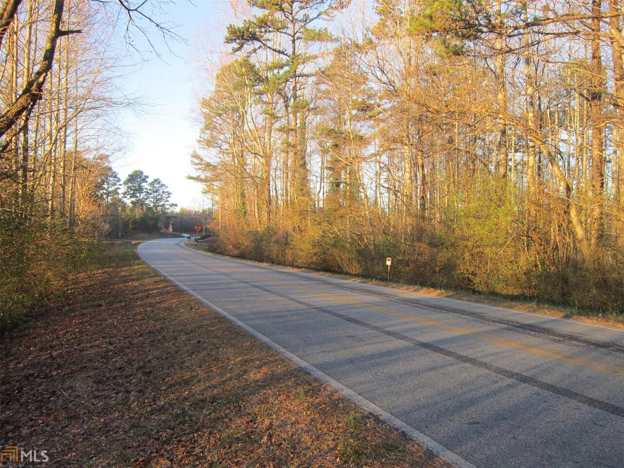 0 Cap Fry Road Demorest, GA 30535 - Photo 1 of 1