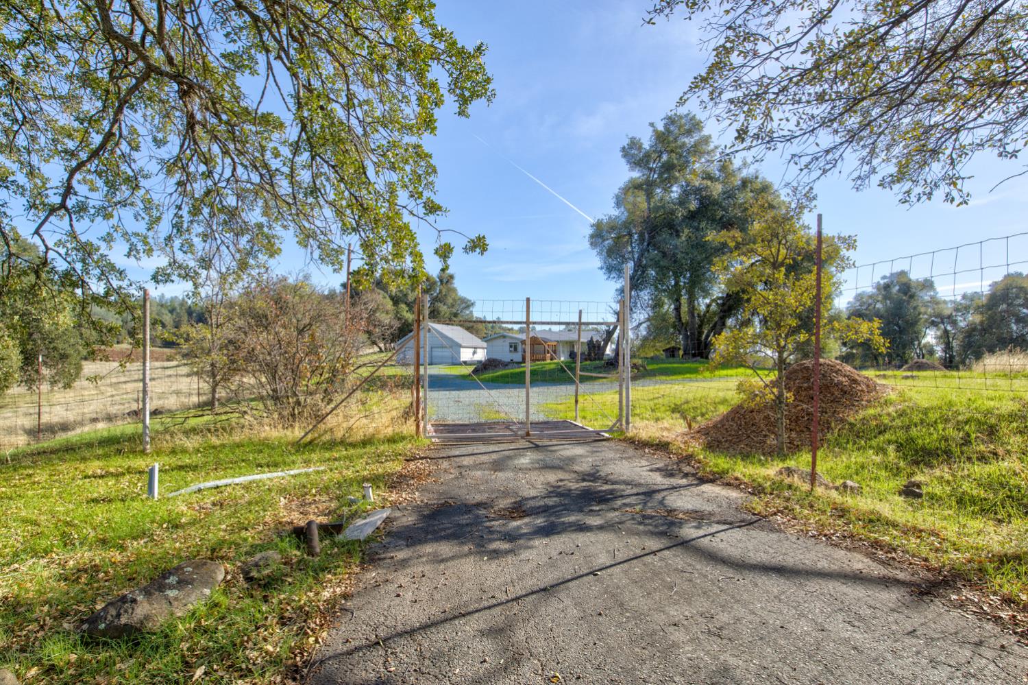 11120 Courier Road Plymouth, CA 95669 - Photo 2 of 73 a view of a park with large trees