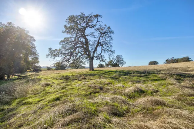 $960,000 | 11120 Courier Road, Plymouth, CA 95669