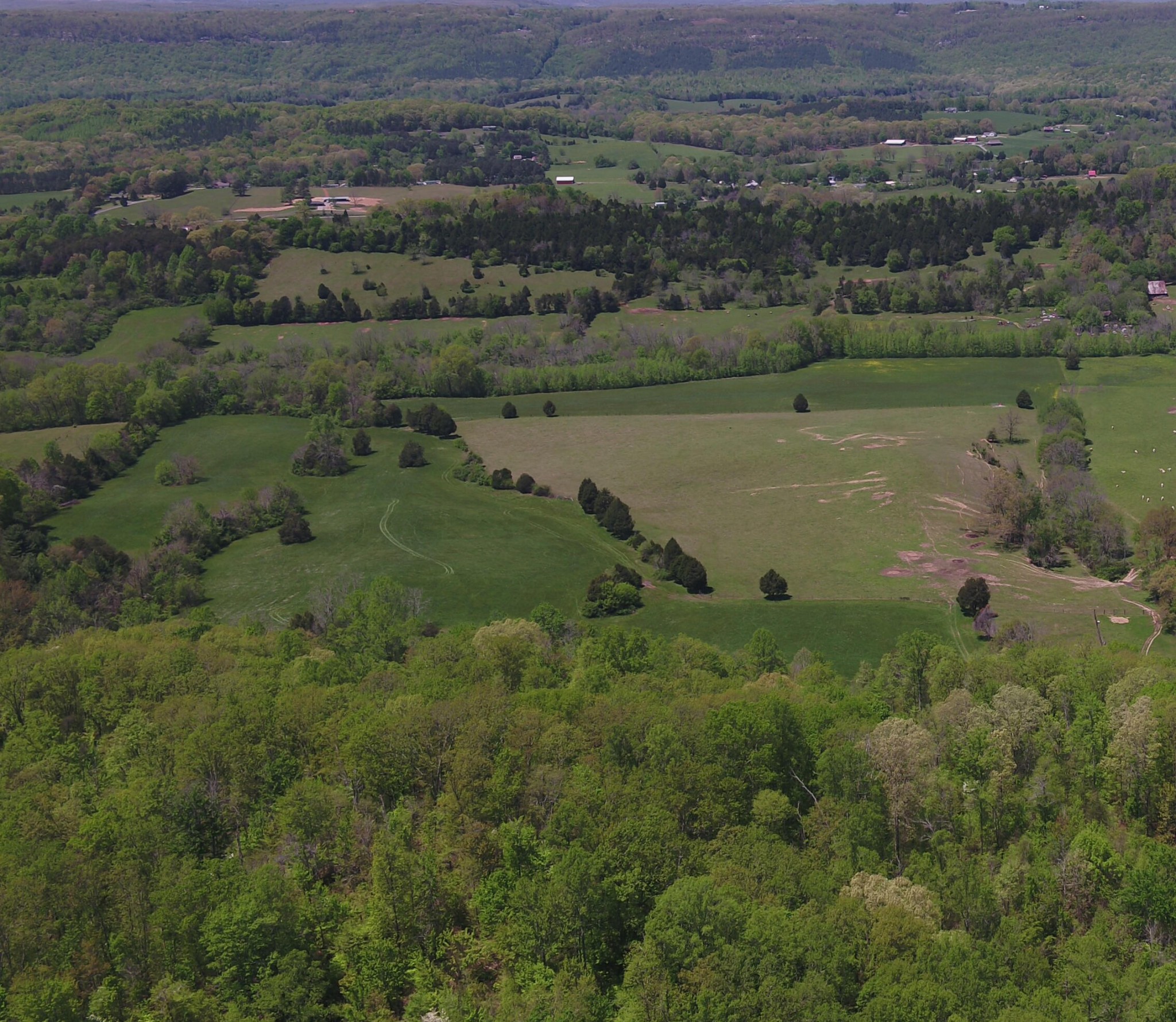 128 Jim Grasson Road Spring City, TN 37381 - Photo 5 of 7 Gallery Image 5