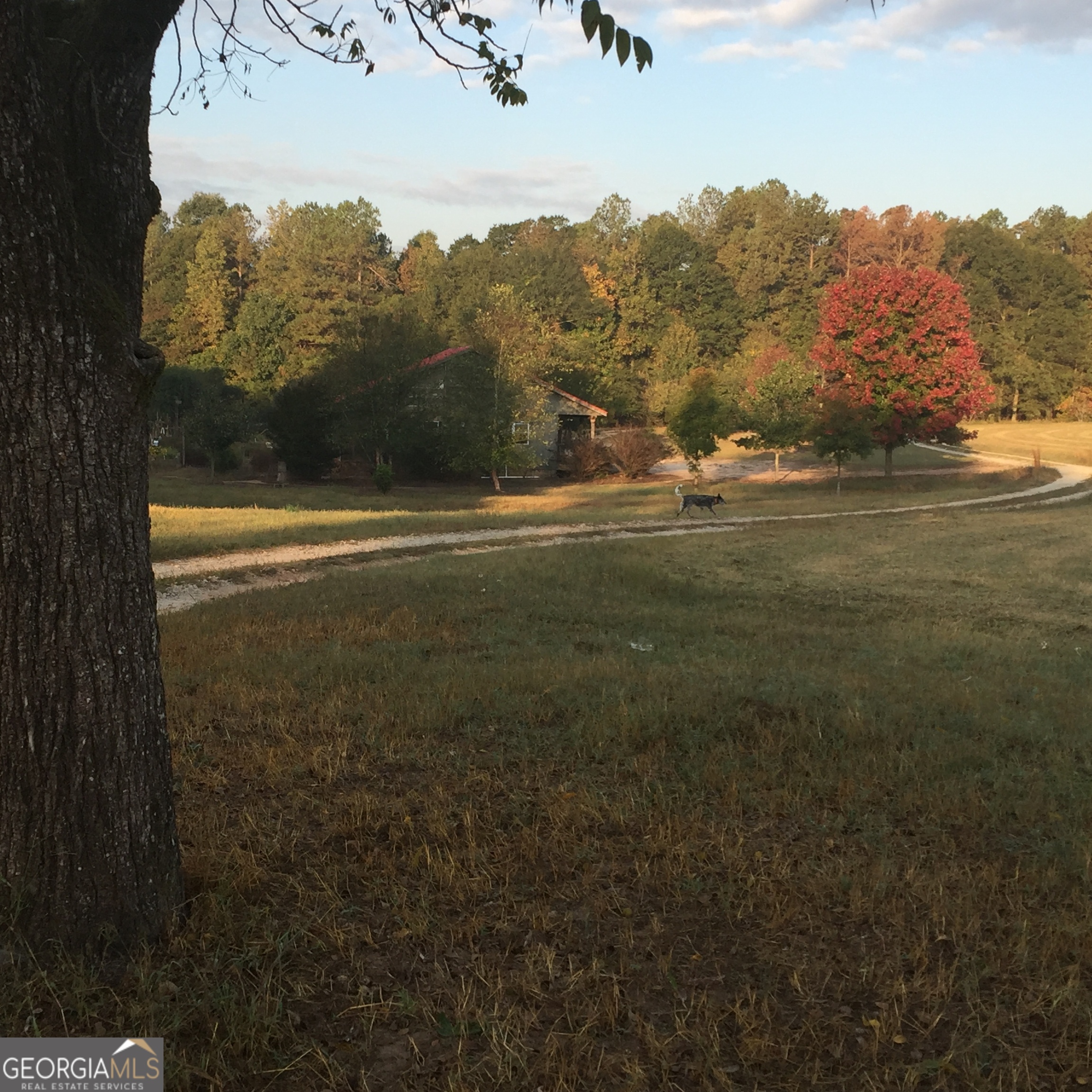 429 Frank Kelley Road Canon, GA 30520 - Photo 25 of 36