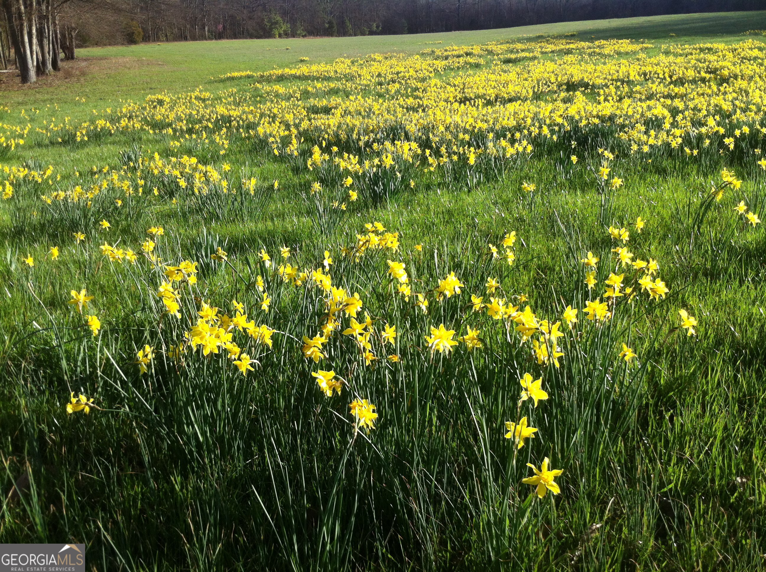 429 Frank Kelley Road Canon, GA 30520 - Photo 26 of 36