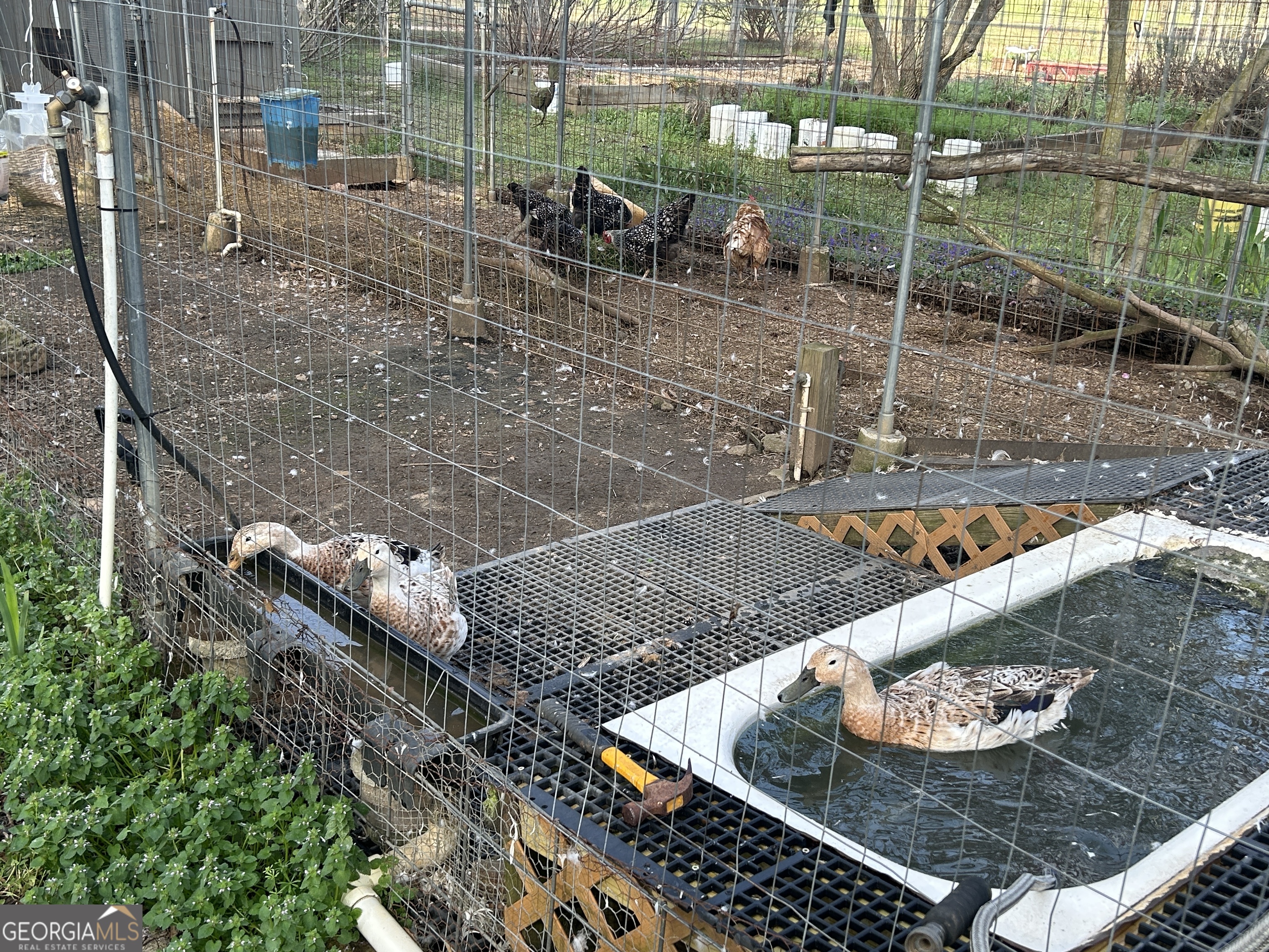 429 Frank Kelley Road Canon, GA 30520 - Photo 29 of 36