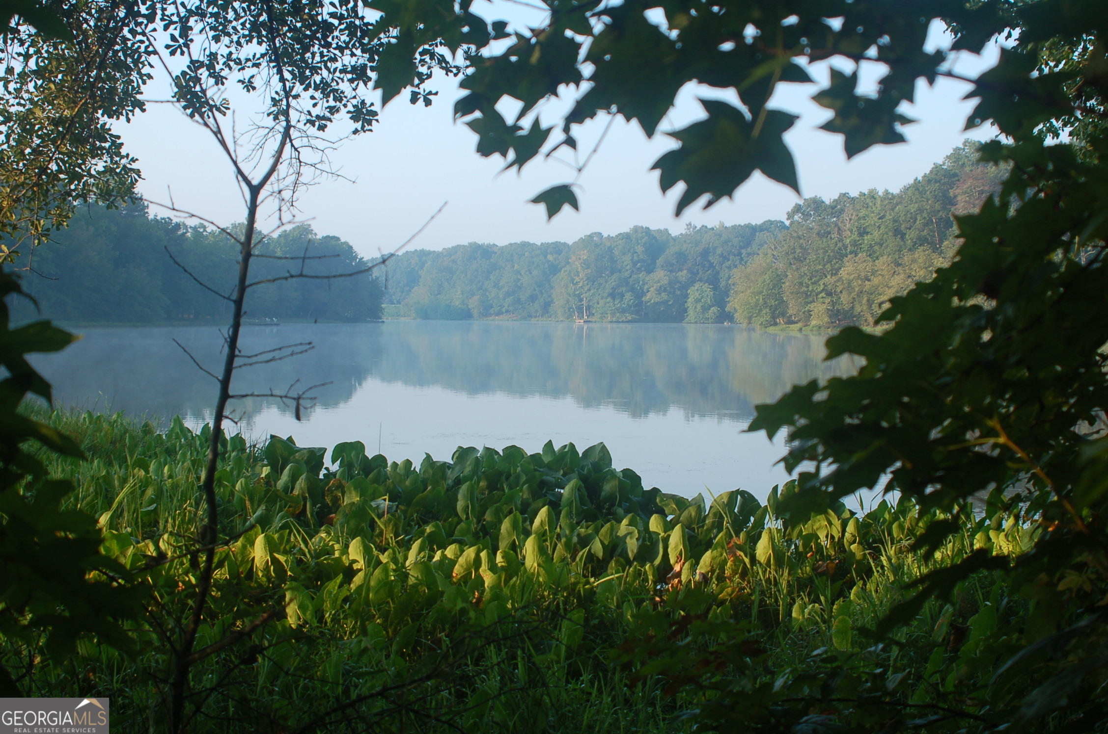 429 Frank Kelley Road Canon, GA 30520 - Photo 3 of 36