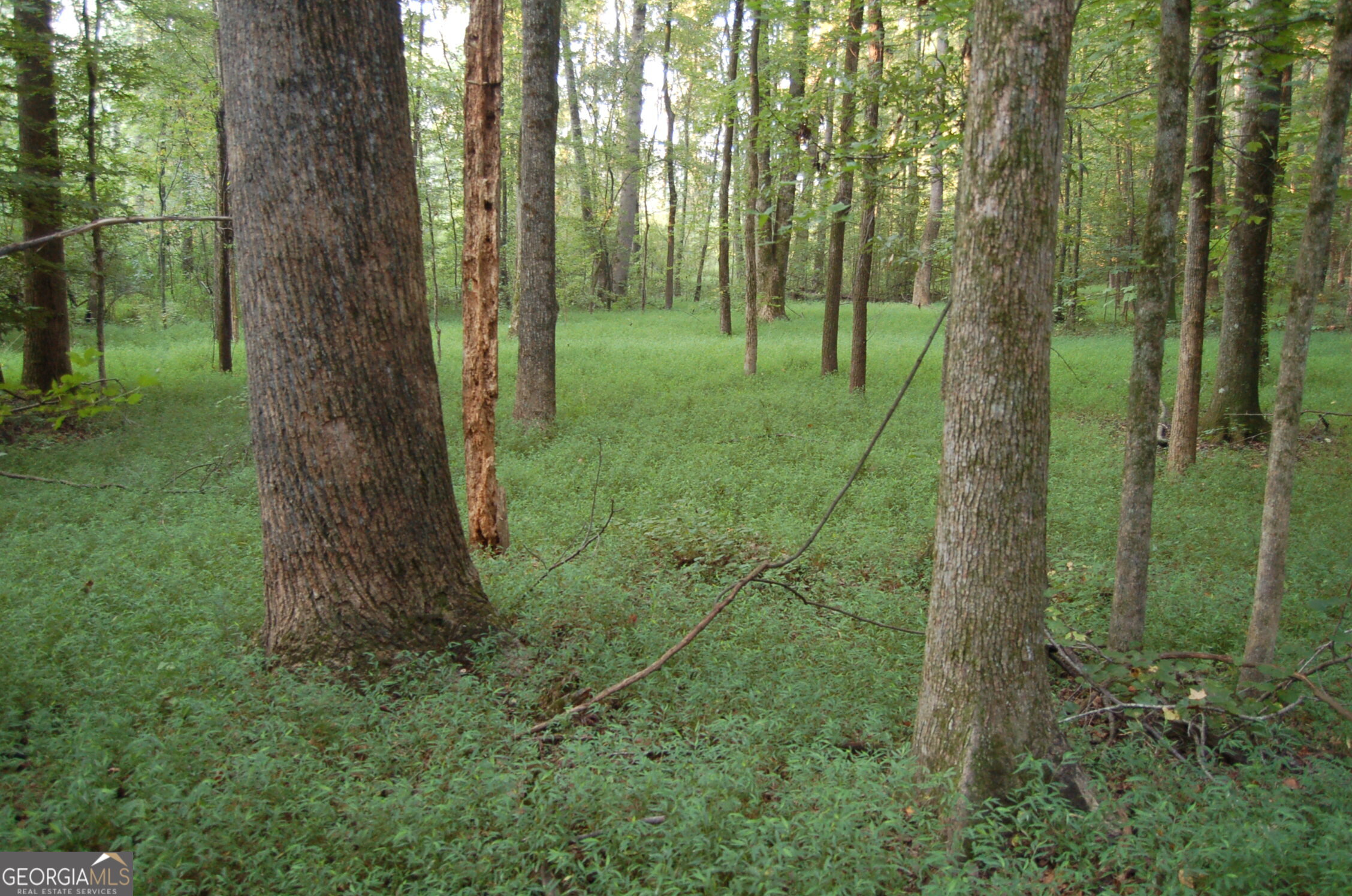 429 Frank Kelley Road Canon, GA 30520 - Photo 32 of 36