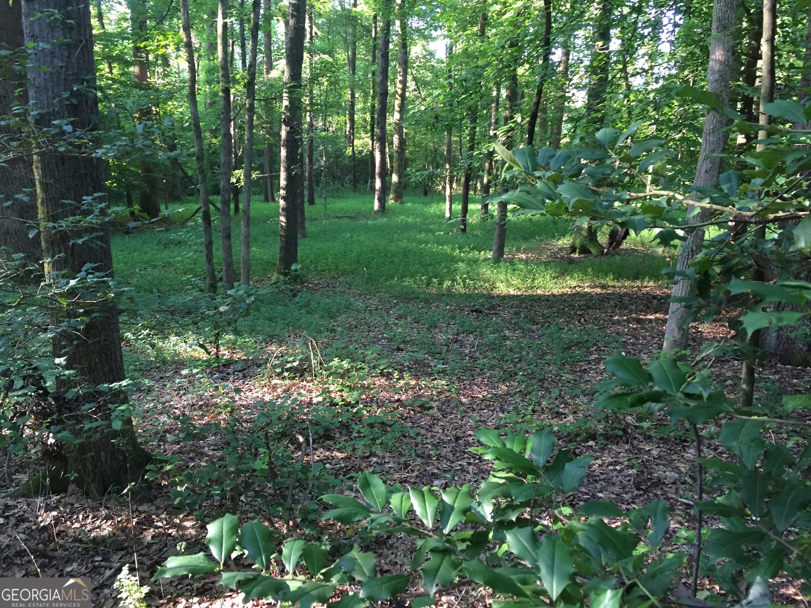 429 Frank Kelley Road Canon, GA 30520 - Photo 34 of 36