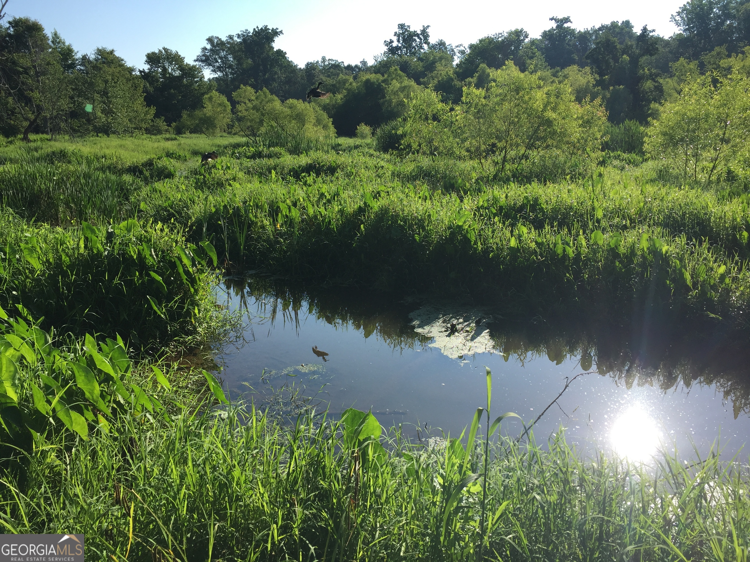 429 Frank Kelley Road Canon, GA 30520 - Photo 35 of 36