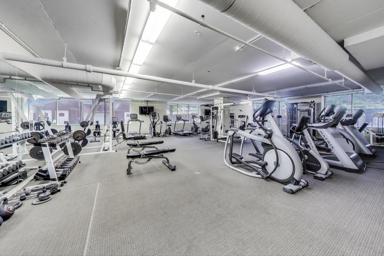 1717 South Prairie Avenue, Unit 1910 Chicago, IL 60616 - Photo 28 of 48 a view of a room with gym equipment