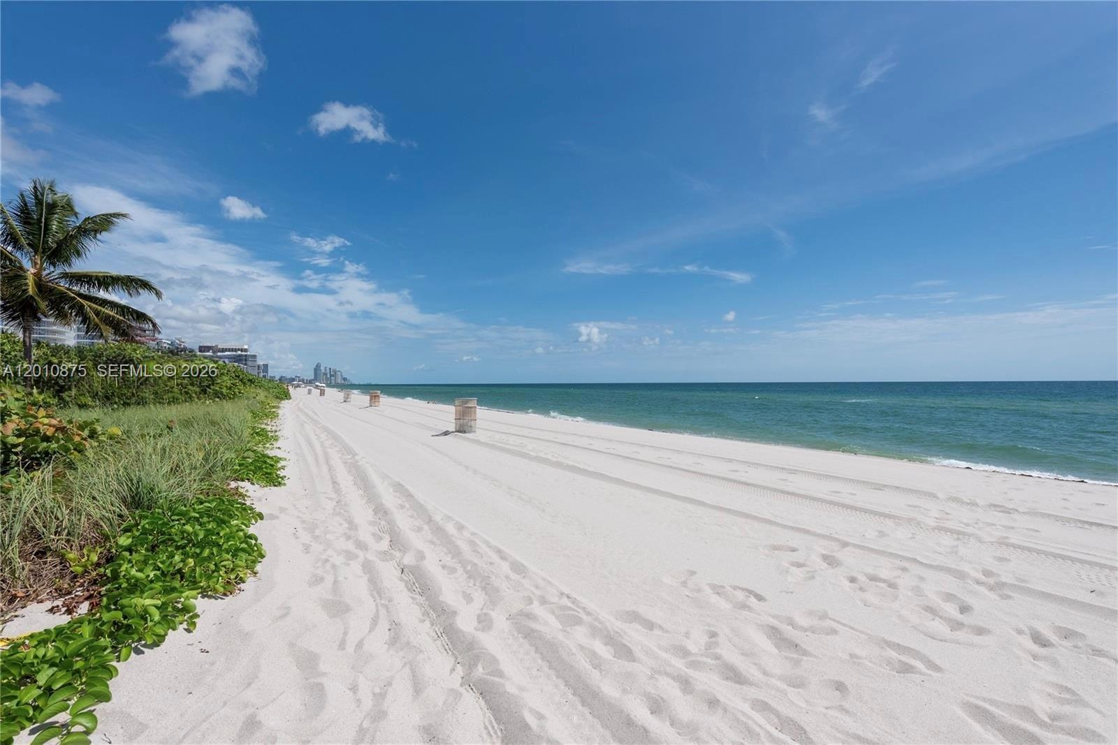 8925 Collins Avenue, Unit 12D Surfside, FL 33154 - Photo 31 of 35 a view of a yard with an outdoor space