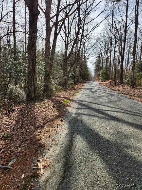 Lot 2 Pilkington Road Hustle, VA 22476 - Photo 1 of 13 Gallery Image 1