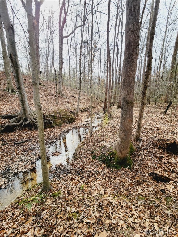 Lot 2 Pilkington Road Hustle, VA 22476 - Photo 11 of 13 Gallery Image 11
