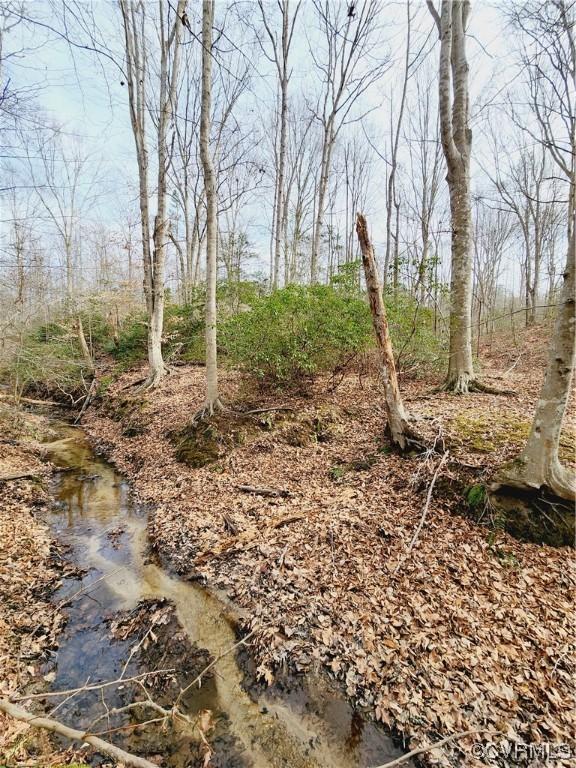Lot 2 Pilkington Road Hustle, VA 22476 - Photo 12 of 13 Gallery Image 12