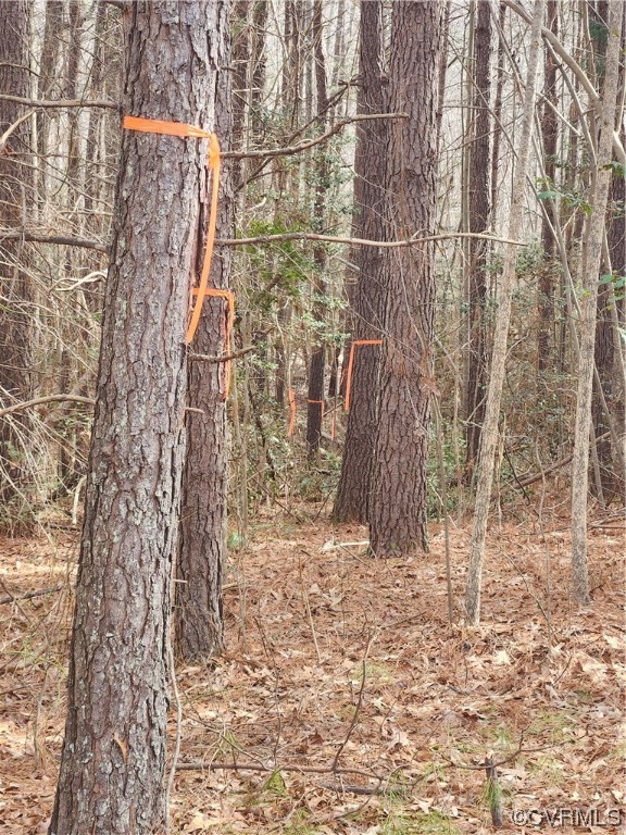 Lot 2 Pilkington Road Hustle, VA 22476 - Photo 2 of 13 Gallery Image 2