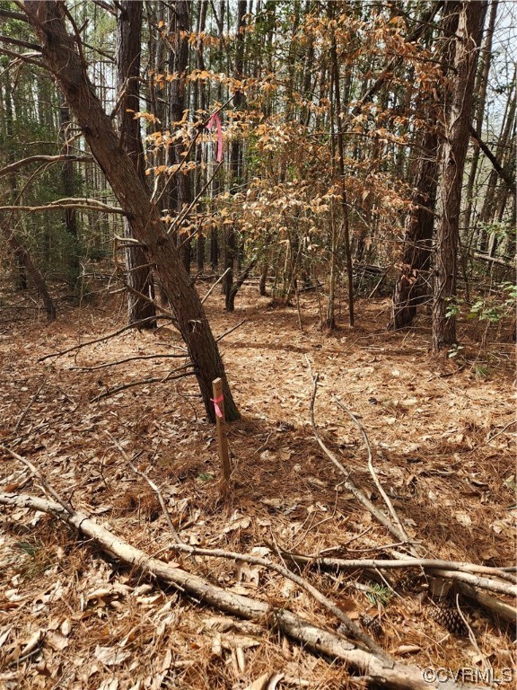 Lot 2 Pilkington Road Hustle, VA 22476 - Photo 3 of 13 Gallery Image 3
