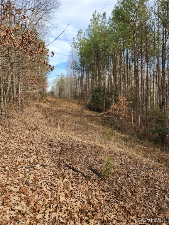 Lot 2 Pilkington Road Hustle, VA 22476 - Photo 5 of 13 Gallery Image 5
