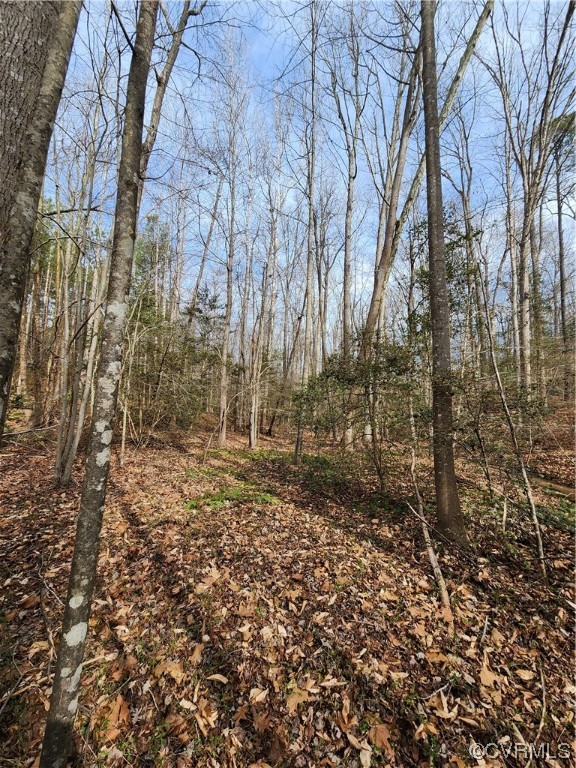 Lot 2 Pilkington Road Hustle, VA 22476 - Photo 6 of 13 Gallery Image 6