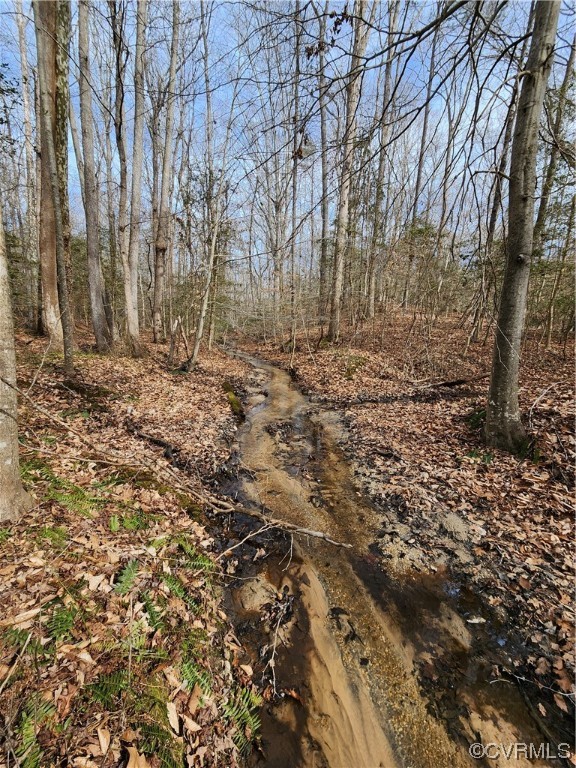 Lot 2 Pilkington Road Hustle, VA 22476 - Photo 7 of 13 Gallery Image 7