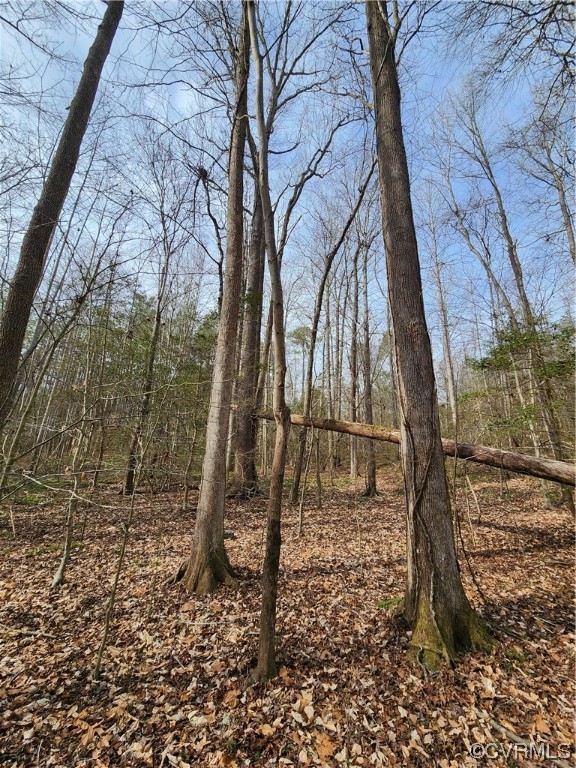 Lot 2 Pilkington Road Hustle, VA 22476 - Photo 8 of 13 Gallery Image 8