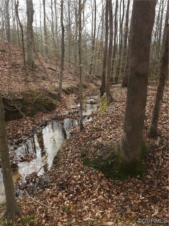 Lot 2 Pilkington Road Hustle, VA 22476 - Photo 10 of 13 Gallery Image 10