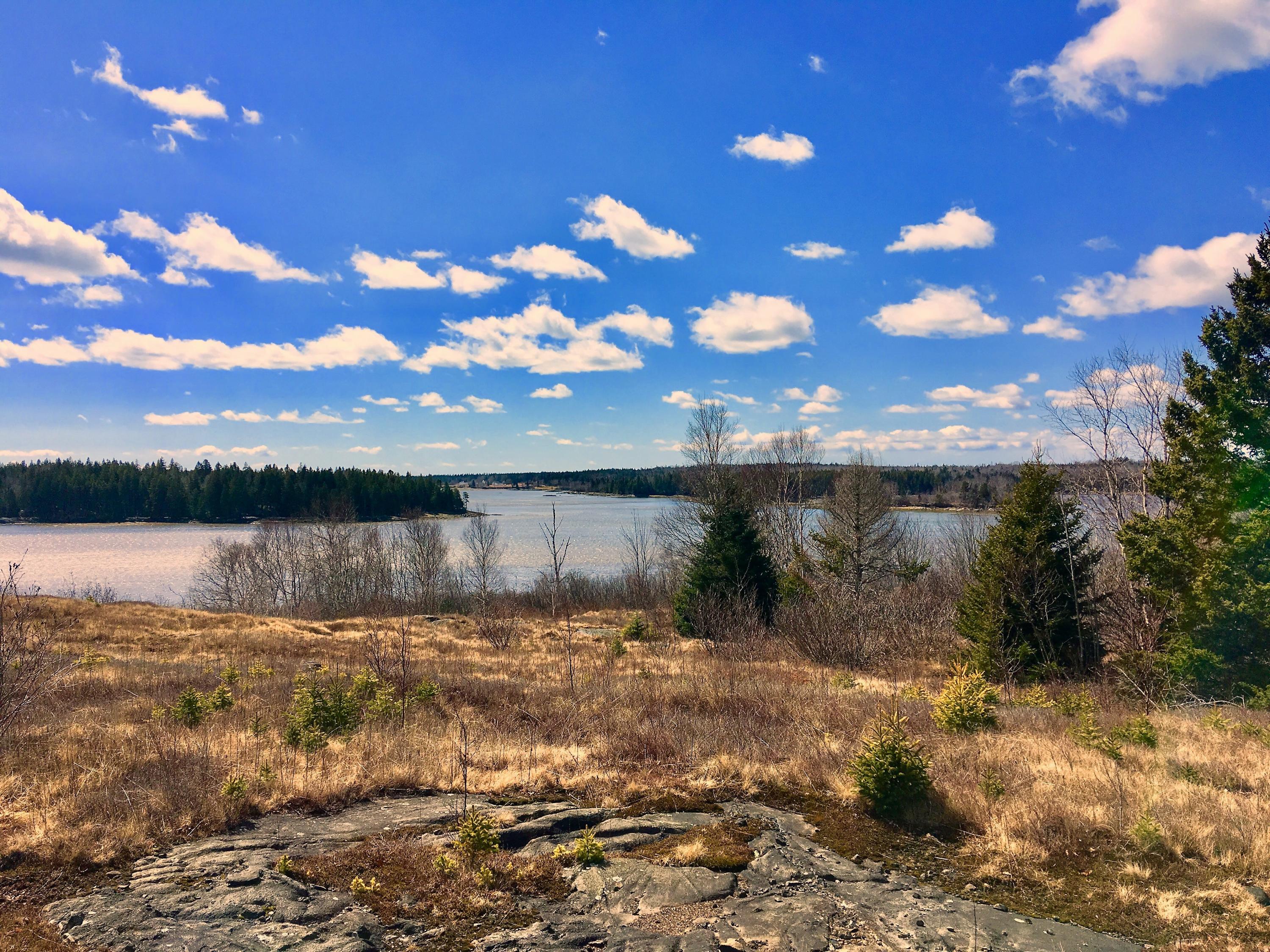 112 Basin Road Addison, ME 04606 - Photo 2 of 29 IMG_3303 (1)
