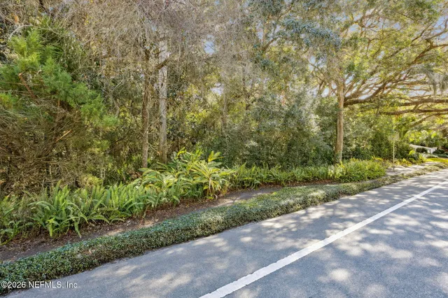 a view of a lake with a mountain
