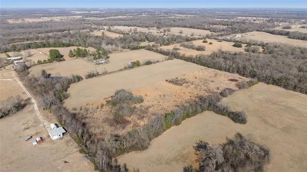 a view of a dry yard with trees