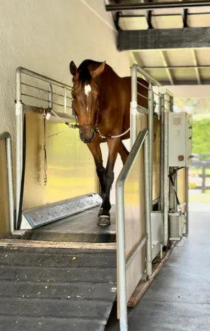 a view of a backyard with a trees