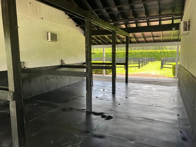 a view of a yard with plants and large trees