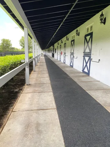 a living room with a couch and a potted plant on the counter