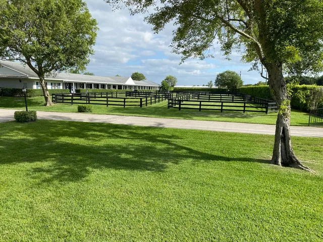a view of a park with large trees