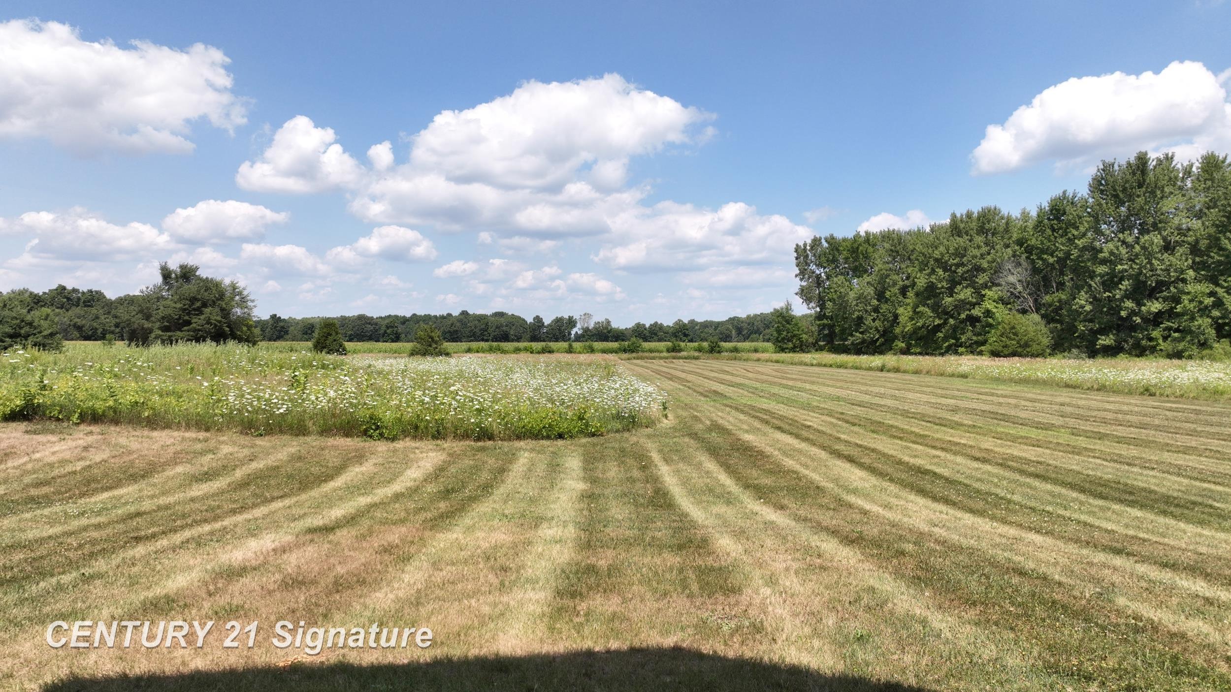 12222 Carpenter Road Flushing, MI 48433 - Photo 16 of 64 Gallery Image 16