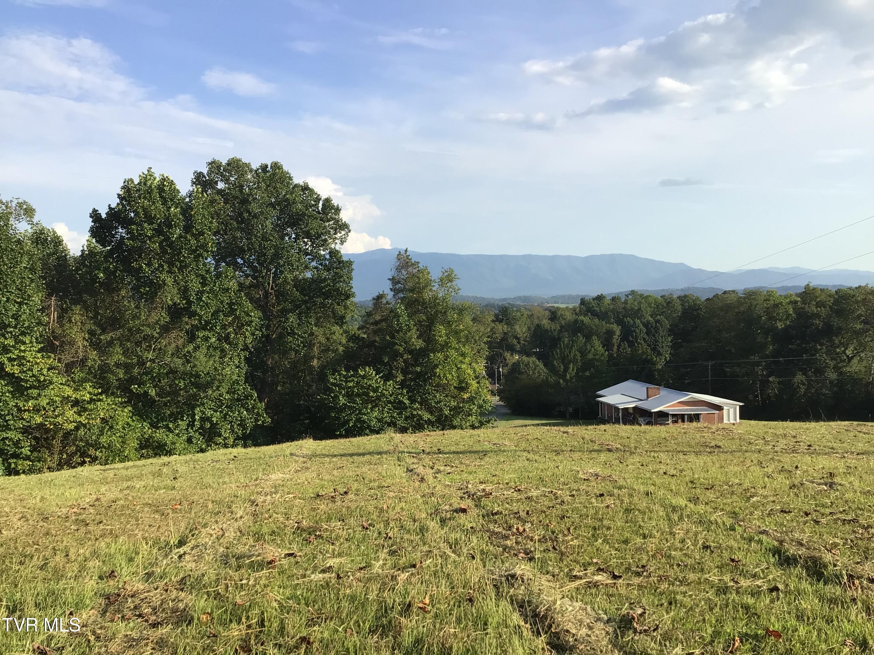 Tbd Ed Crum Way Greeneville, TN 37745 - Photo 4 of 11 1.5+/- acres Ed Crum Way