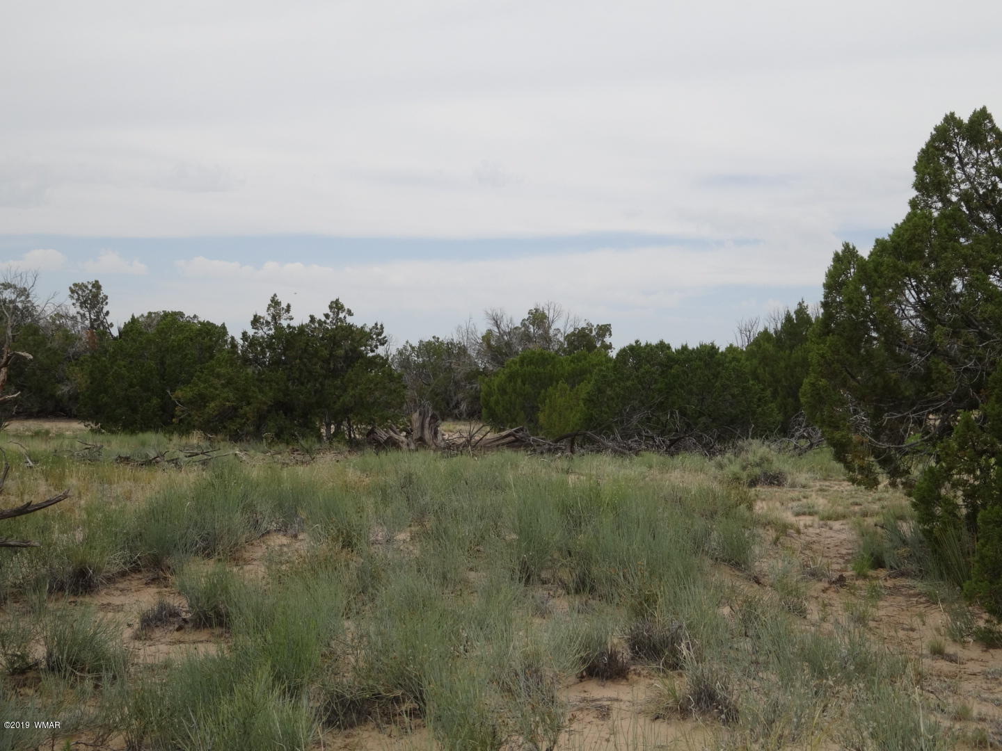 112 Witch Well Road St. Johns, AZ 85936 - Photo 11 of 38