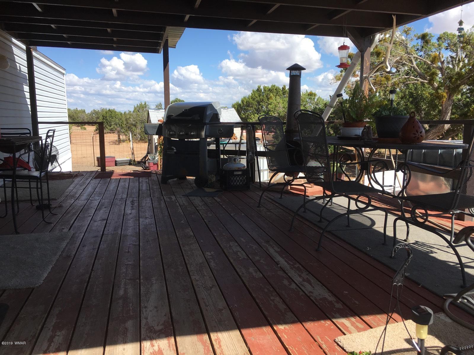 112 Witch Well Road St. Johns, AZ 85936 - Photo 37 of 38