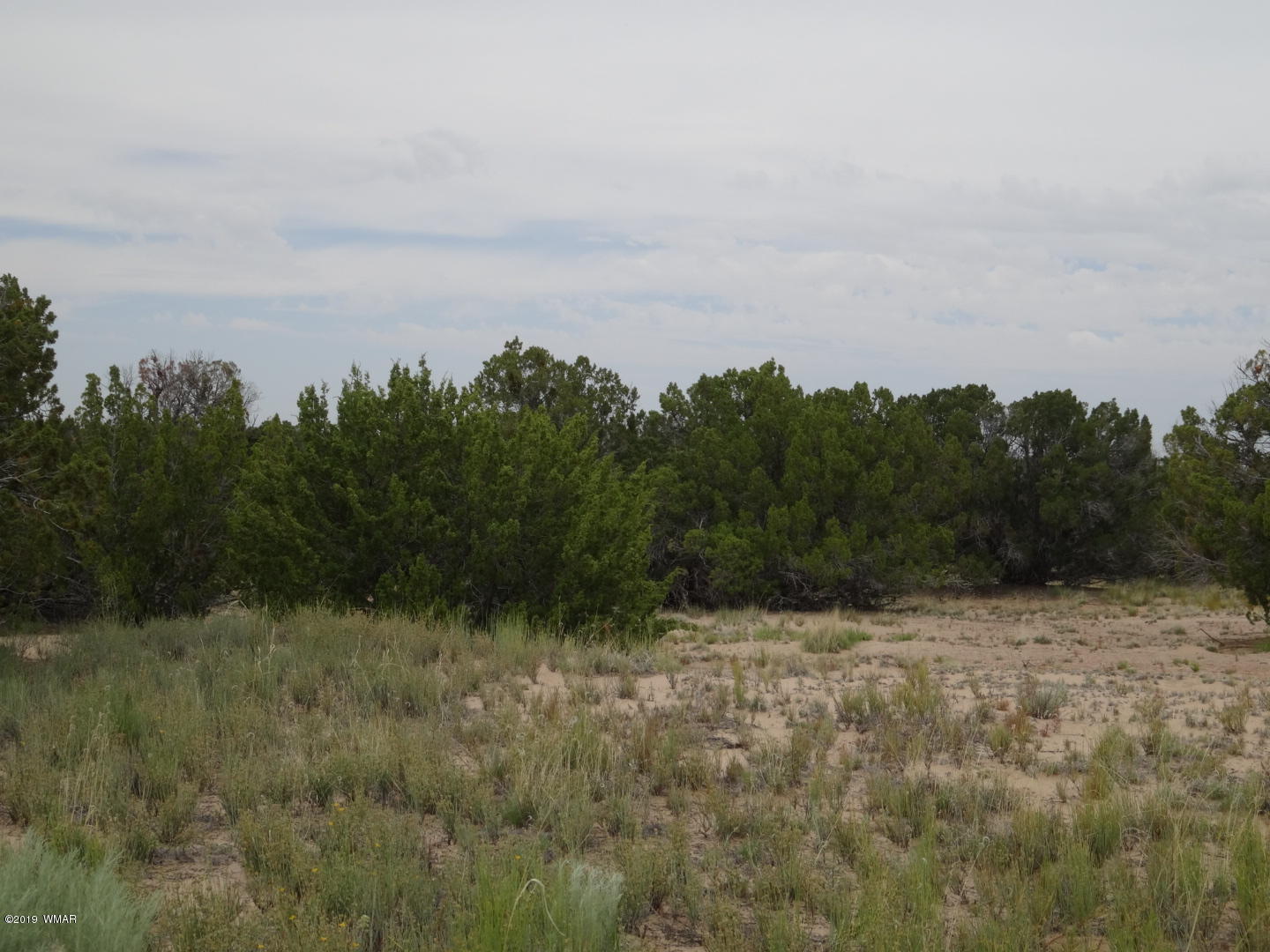 112 Witch Well Road St. Johns, AZ 85936 - Photo 10 of 38