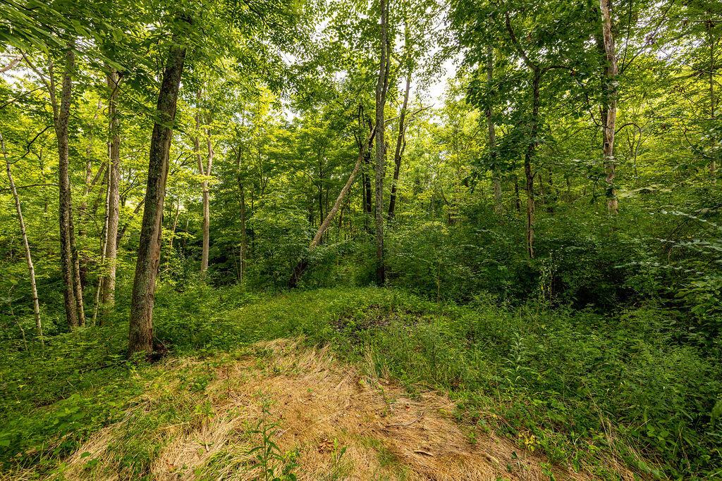 2634 Laurel-Point Isabel Road Moscow, OH 45153 - Photo 4 of 43 0U0A0175