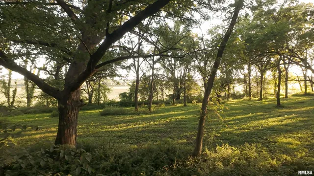 $2,600,000 | 0 East 1450 Road, Dahinda, IL 61428