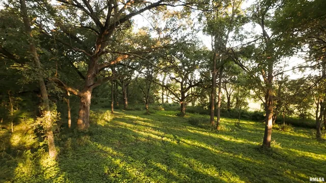 $2,600,000 | 0 East 1450 Road, Dahinda, IL 61428